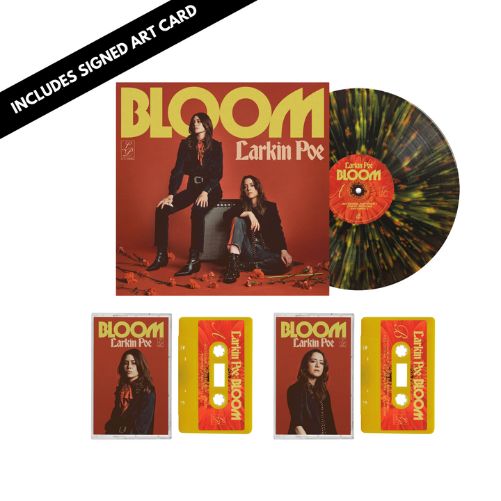 Vinyl + Cassettes Bundle